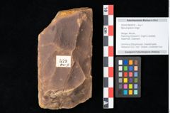 Foto (Objekt + Etikett) von Myrica lignitum Unger (NHMW-GEO-2024-0188-0579)